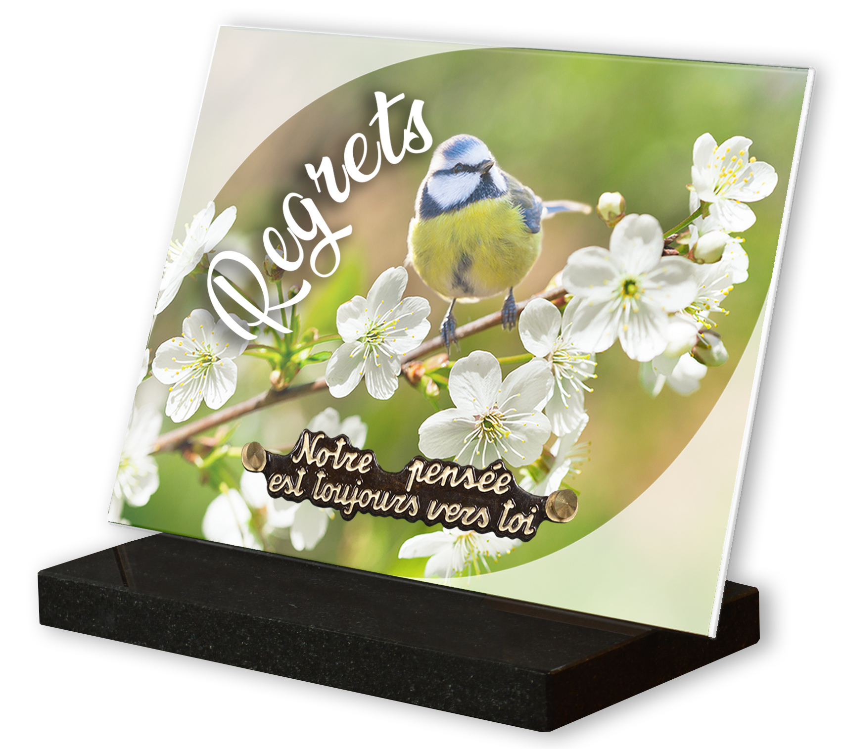 Image de plaque Plaque altu 18x25 cm - Gravure oiseau