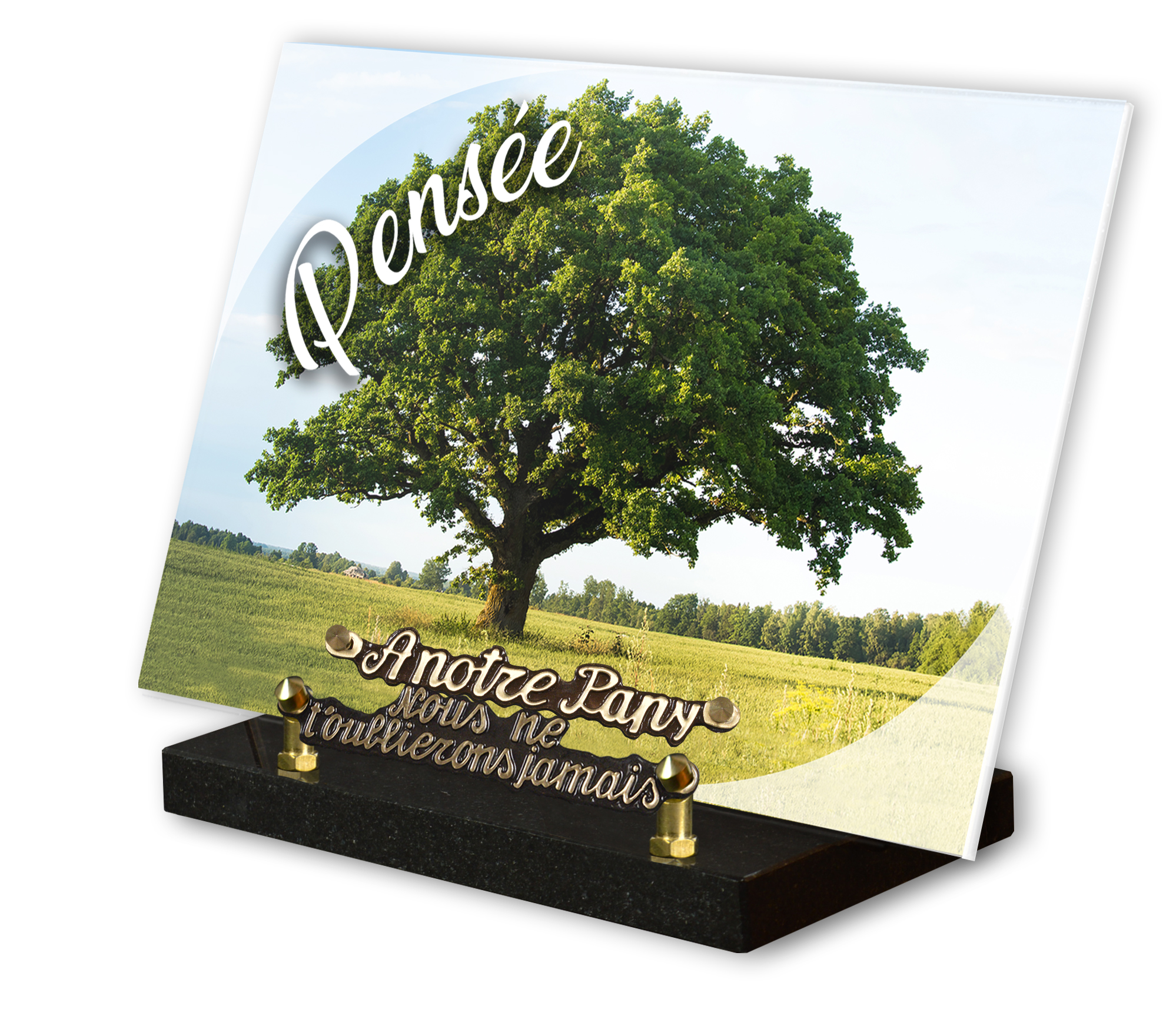 Image de plaque Plaque altu 20x30 cm - Gravure arbre