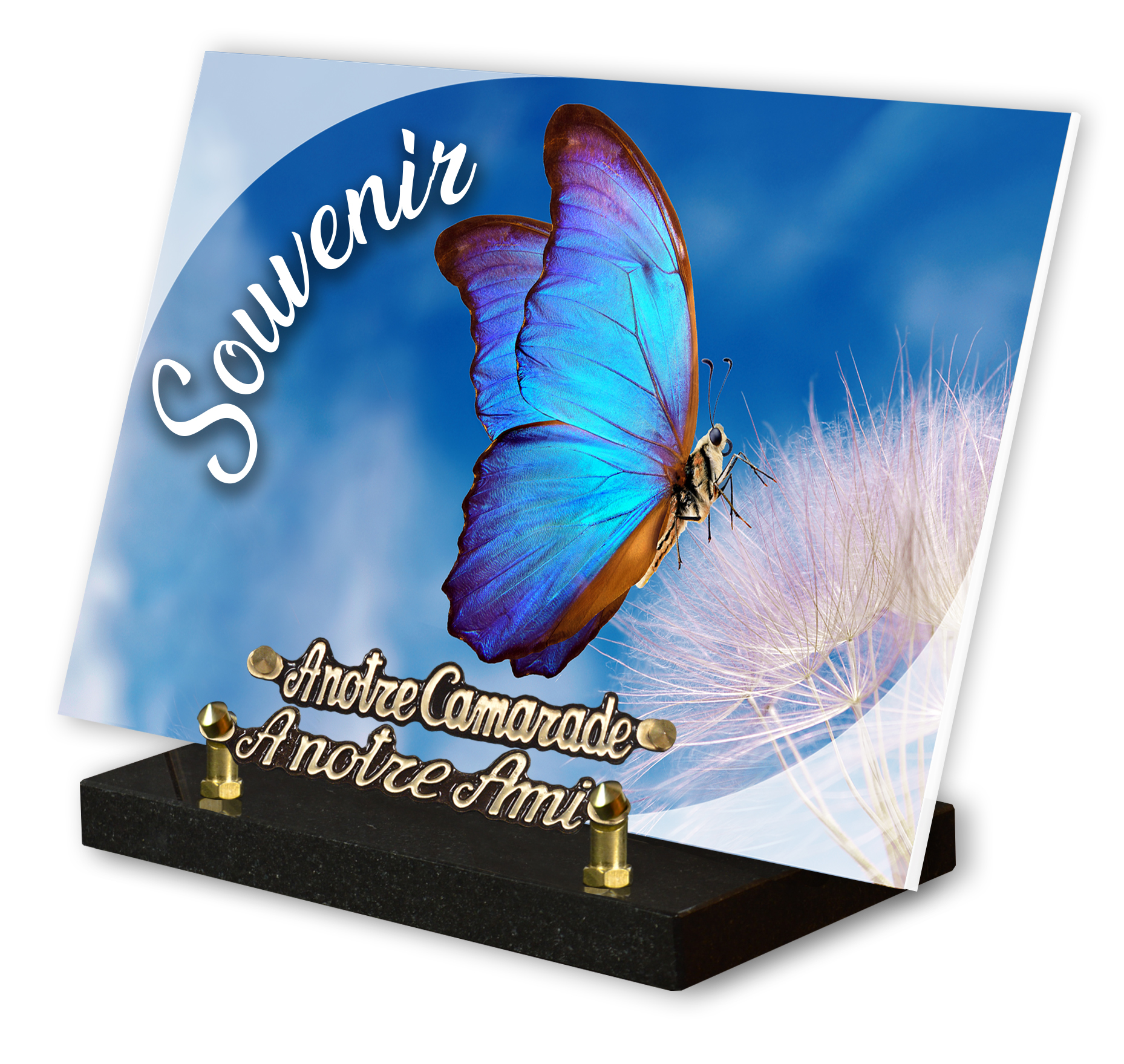 Image de plaque Plaque altu 20x30 cm - Gravure papillon