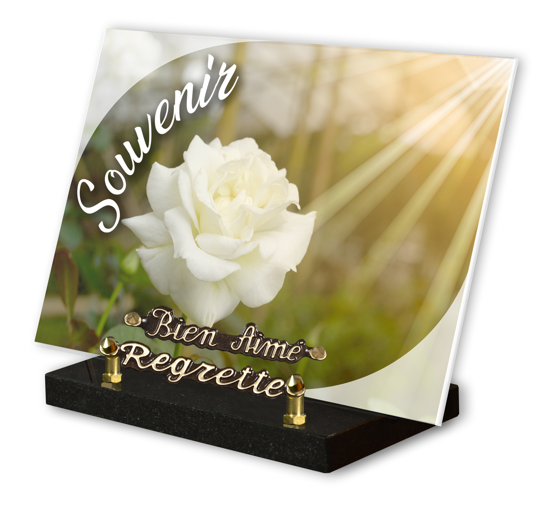 Image de plaque Plaque altu 20x30 cm - Gravure rose