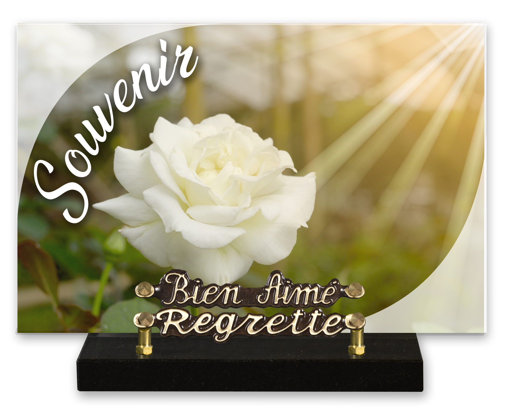 Image de plaque Plaque altu 20x30 cm - Gravure rose