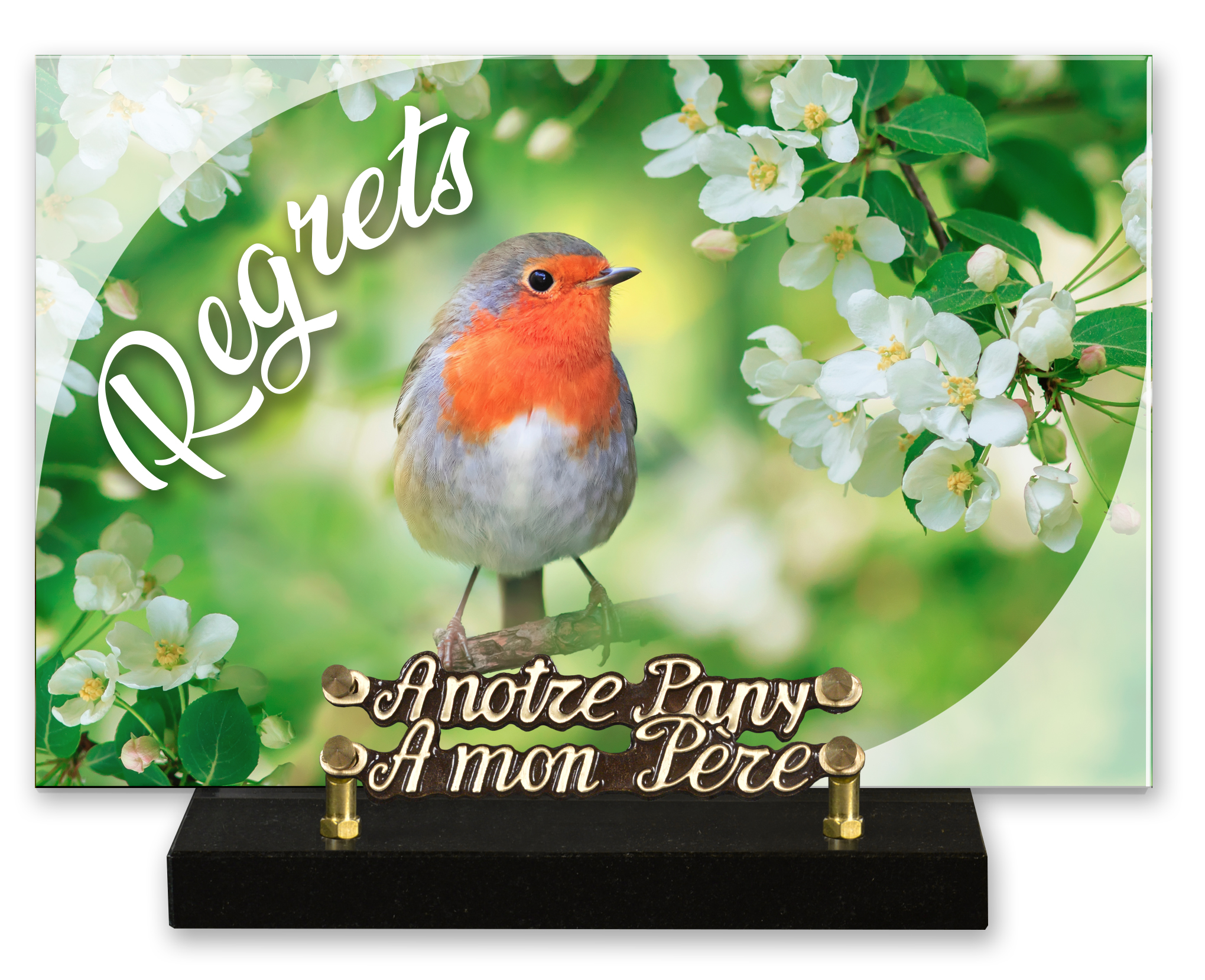 Image de plaque Plaque altu 20x30 cm - Gravure oiseau