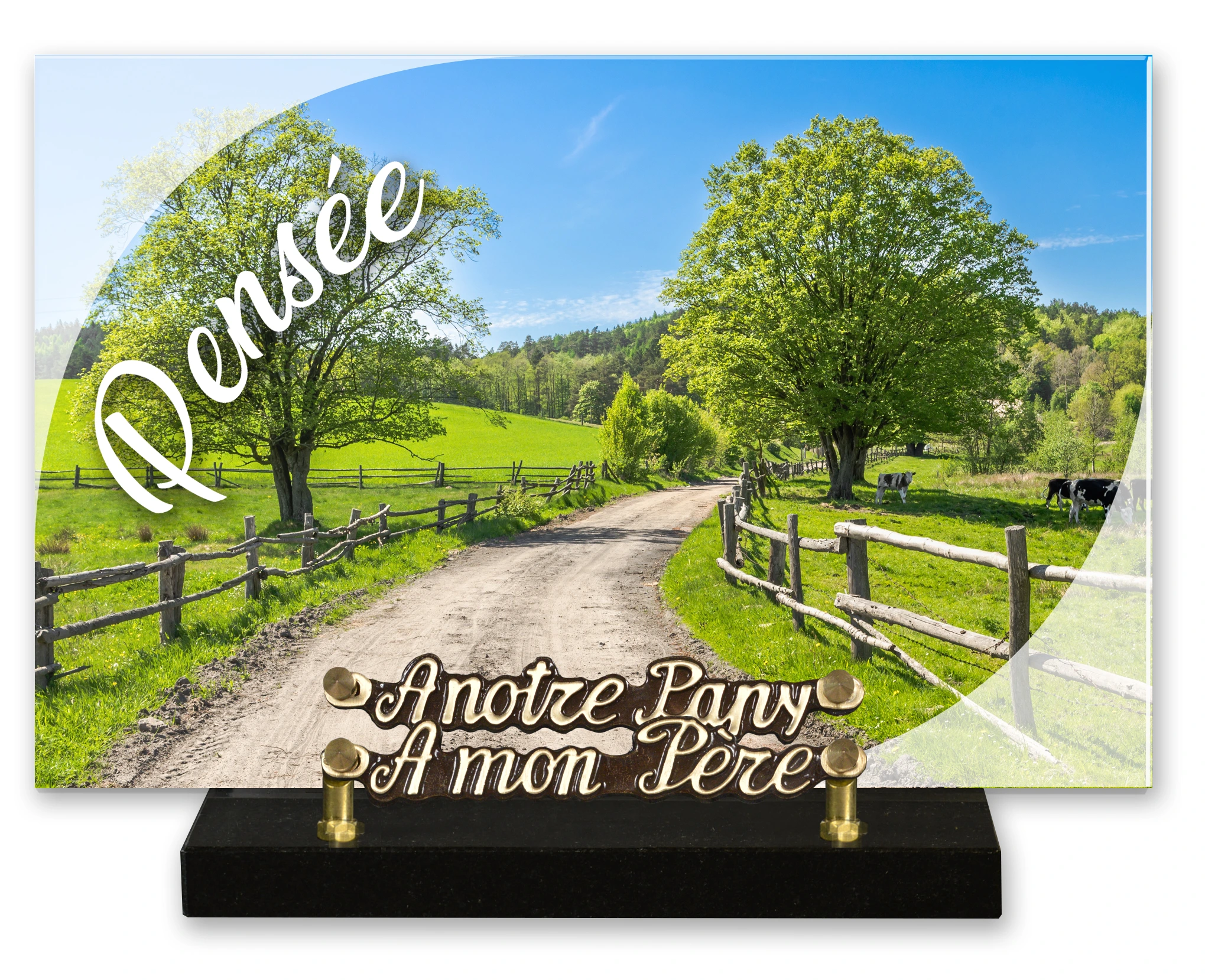Plaques