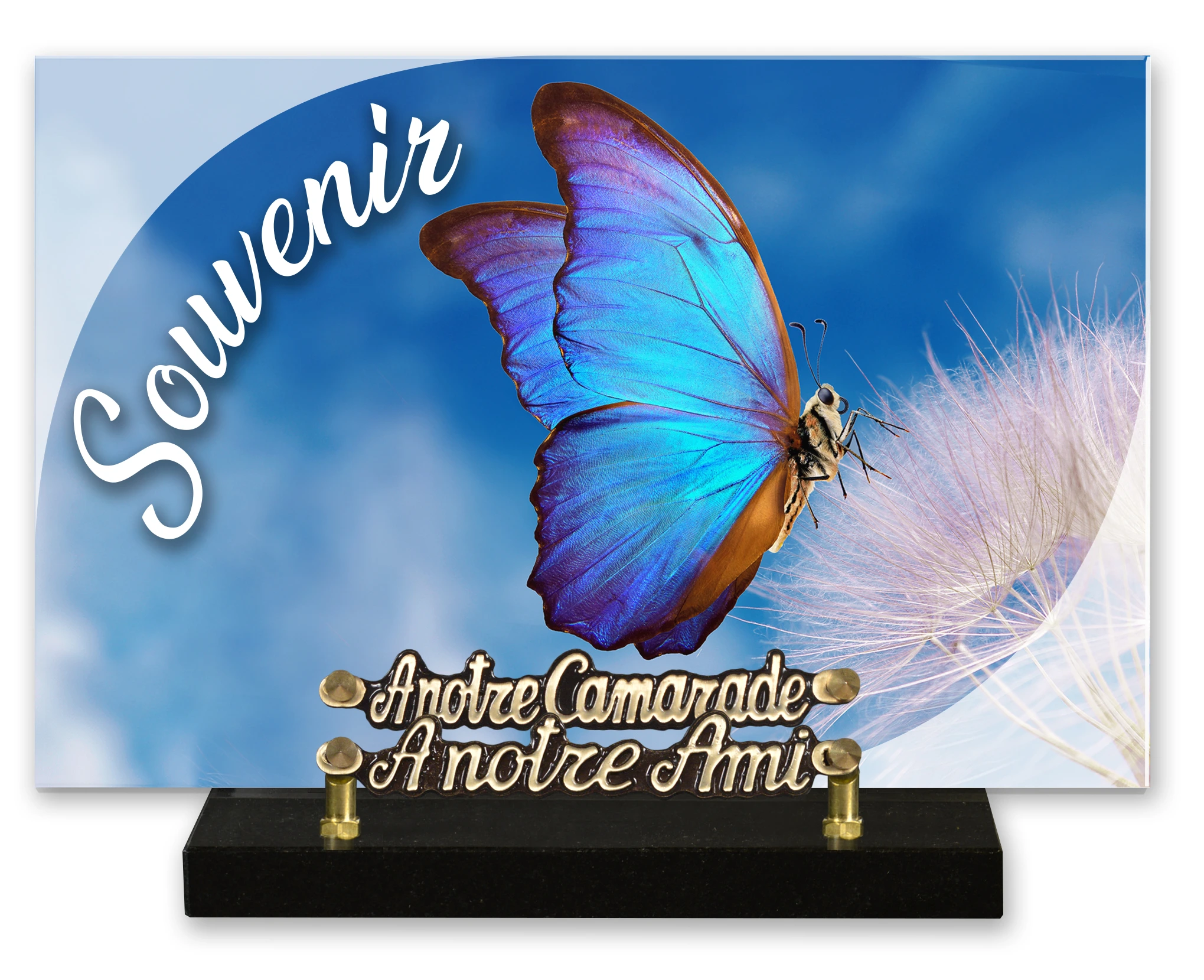 Plaques