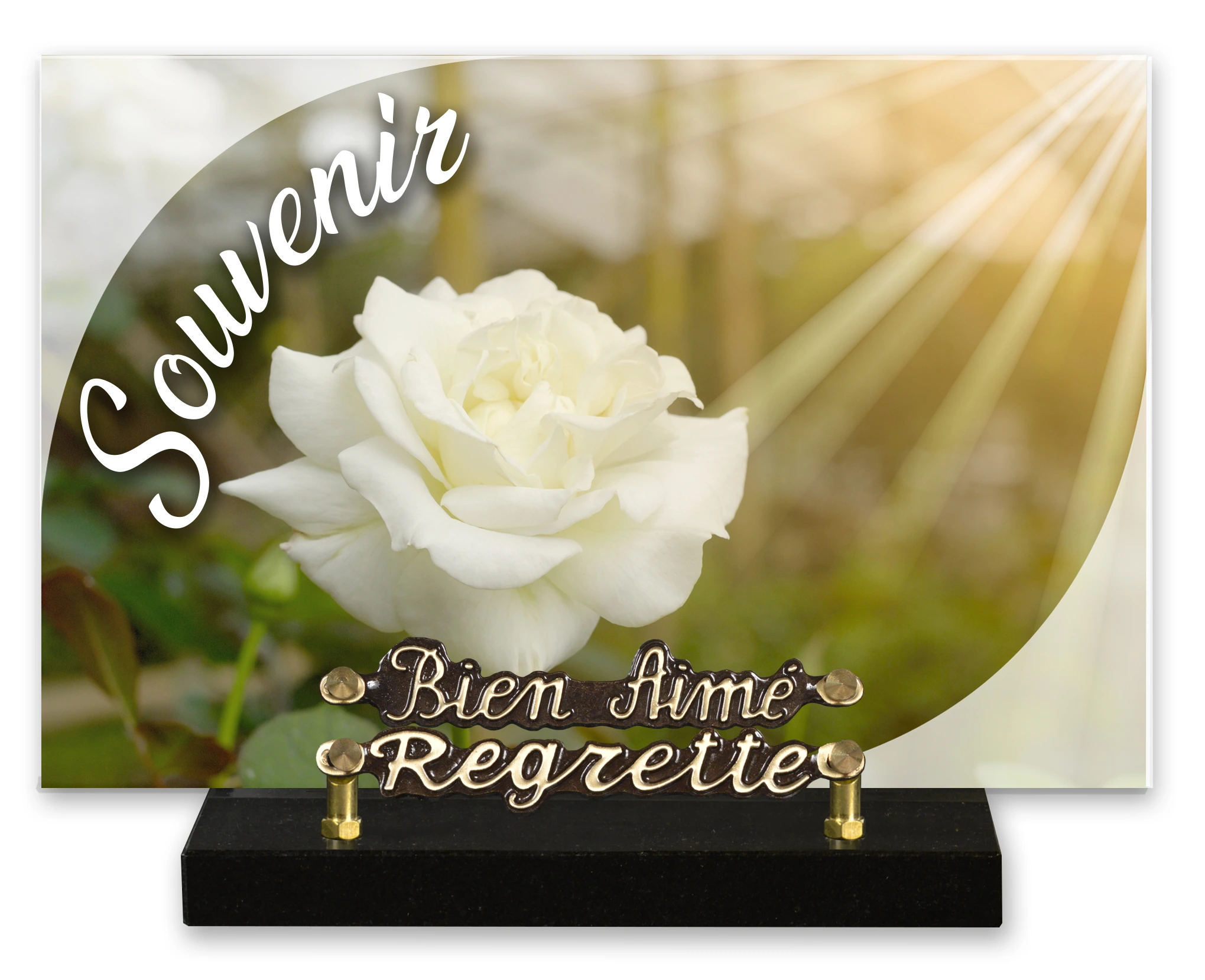 Plaques